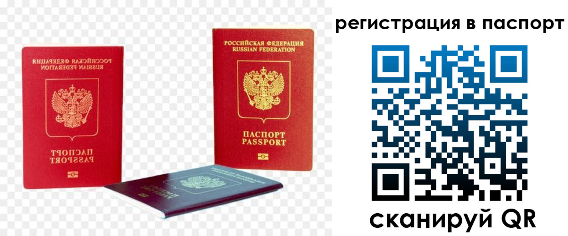 временная регистрация поиск в Светлограде